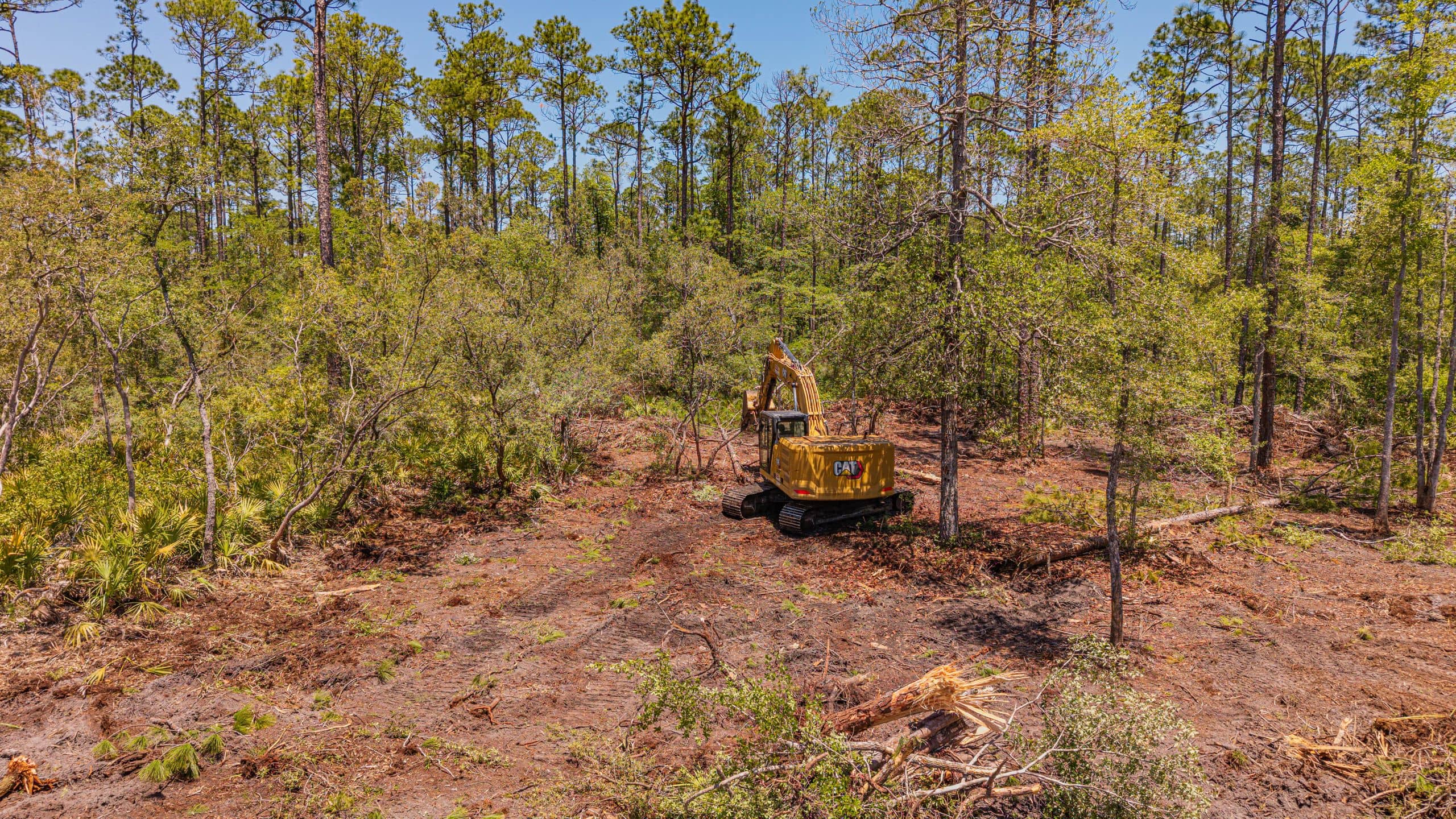 Low aerial view of a tracked excavator working a partly cleared wooded lot, with felled brush and exposed bare soil among standing pines and saw palmetto