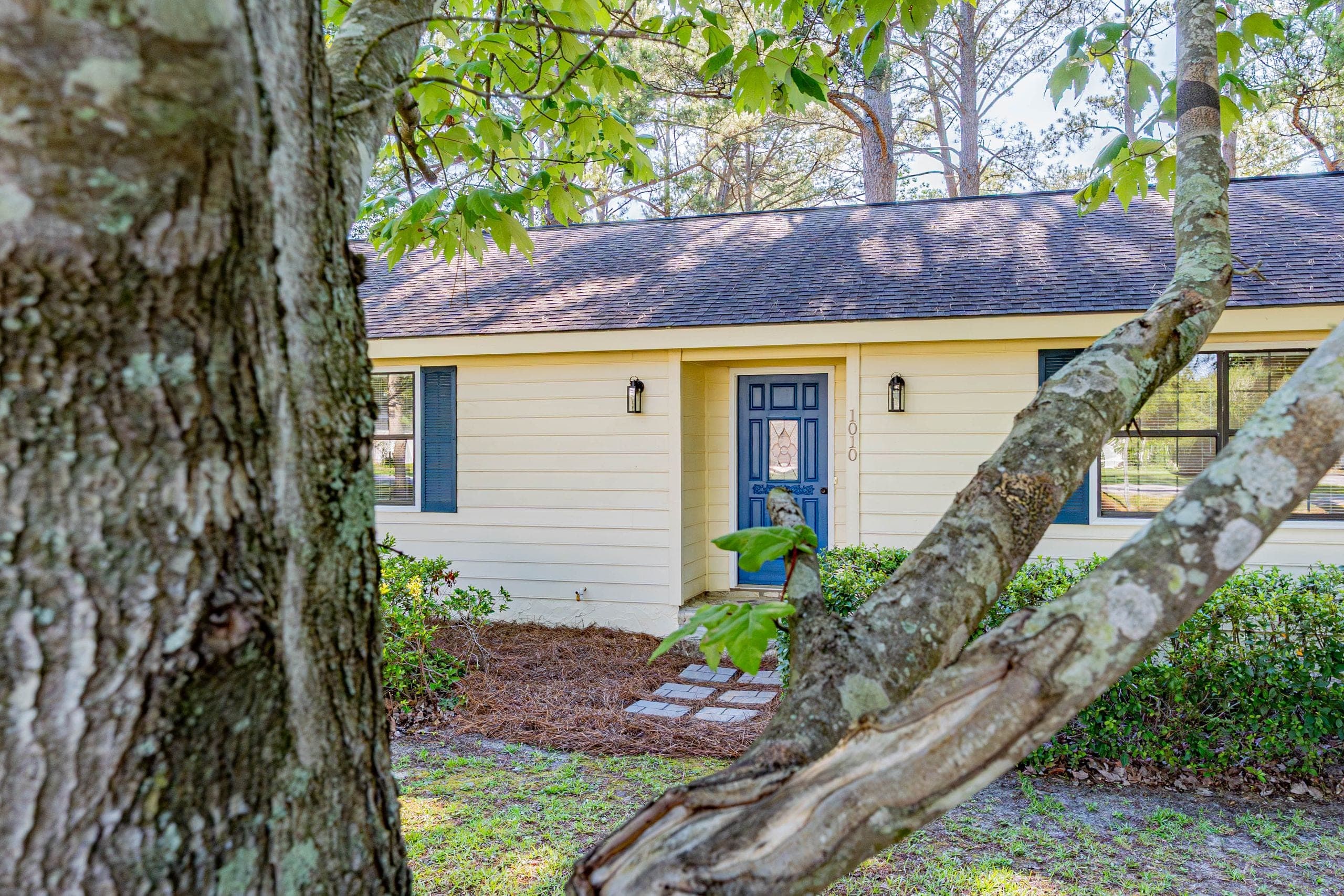 Pale yellow ranch home with a blue front door and stepping-stone path, framed between the trunk and low limb of a mature oak